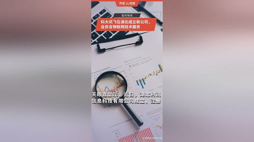 科大訊飛在湖北成立新公司，拓展物聯網技術服務版圖